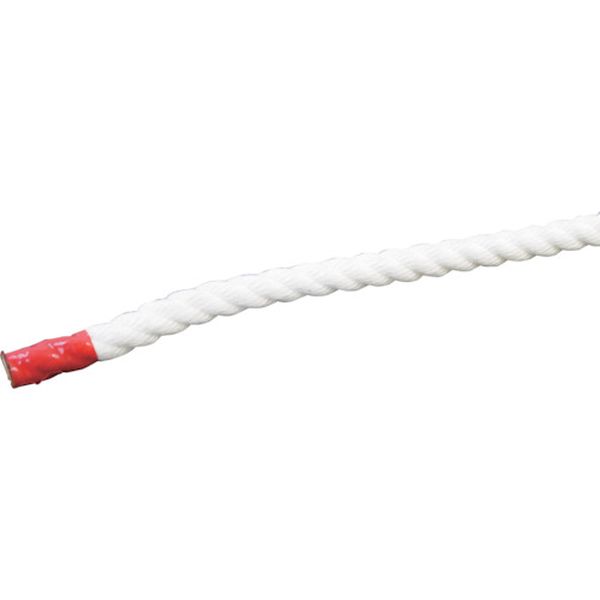 【メーカー在庫あり】 (株)グリーンクロス グリーンクロス クレモナSロープ 50m巻 10mm 6300023904 JP店