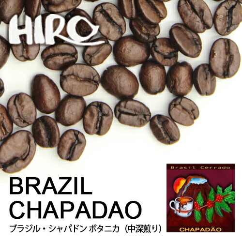コーヒー豆【ブラジルシャパドン ボタニカ農園 100g】【中深煎り】【シングルオリジン】ブラジル 自家焙煎 ストレート スペシャルティコーヒー 豆 コーヒー豆 珈琲