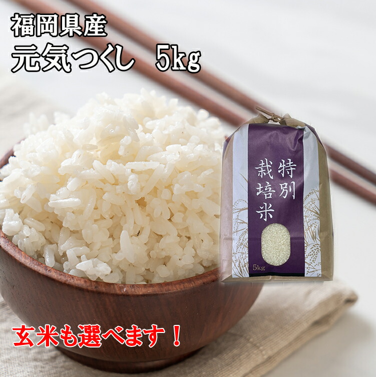 楽天市場】【農家直送】 10kg(5kg×2)【令和6年産 新米(無農薬米) 有機技術】4世代にわたる自慢の米 夢つくし 10kg(5kg×2) 白米・ 玄米・精米 無農薬 減農薬 酵素・有機アミノ酸栽培 米 国産 九州 産地直送 農家直売 令和6年産【送料無料】 : ひろはな