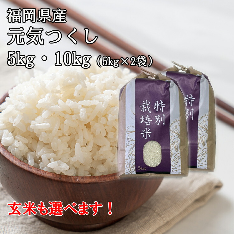 楽天市場】令和6年度産米/新米【無農薬】【コシヒカリ10kg 20kg