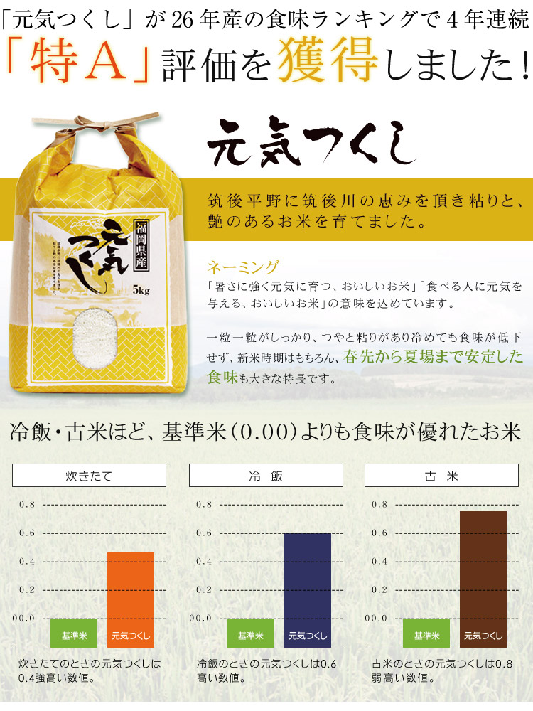 準自然米 福岡県産「元気つくし」令和5年産 玄米20kg 発芽玄米に