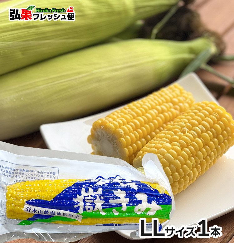 送料込み。清涼感。山採りウメモドキ。。 2024fp_ll1.jpg