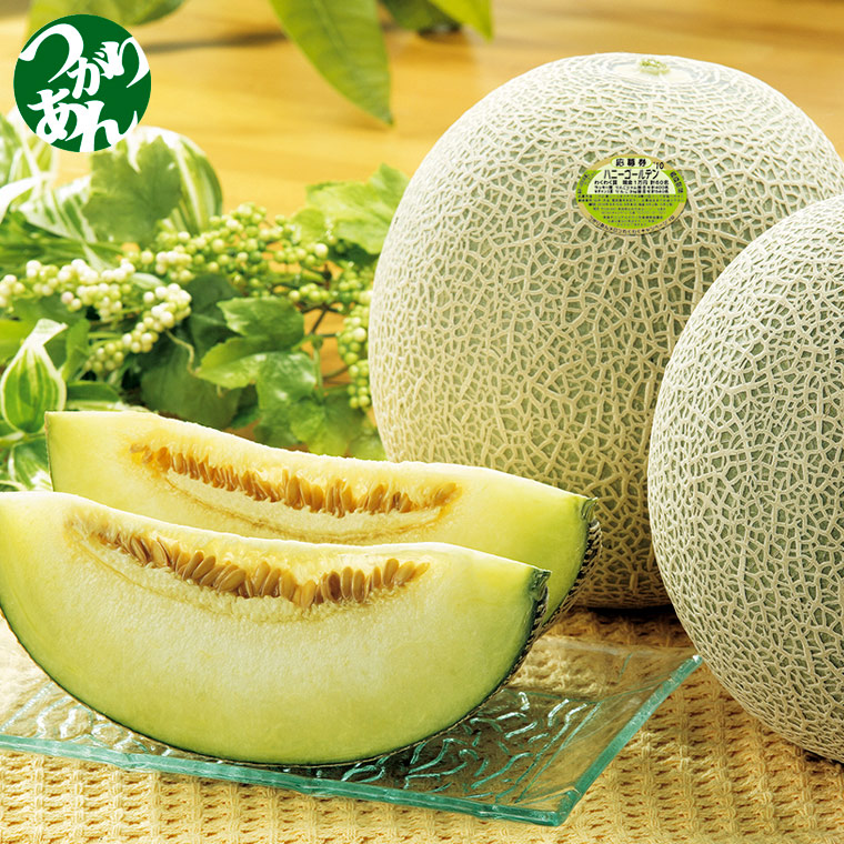 《予約開始》青森県産 つがりあん メロン ハニーゴールデン 秀品 5～6玉入 約8kg 【8月中旬～9月中旬発送】 弘果 販売 残暑お見舞い 青森 通販 高級 つがりあんメロン メロン アムあん つがりあん ギフト お見舞い 最 高級 お取り寄せ 通販 青森 2025