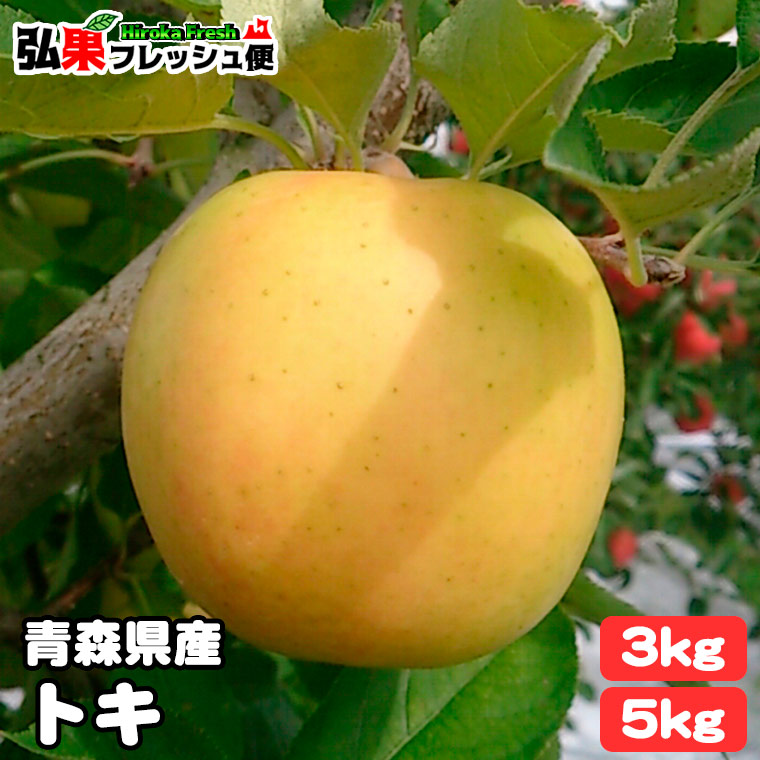 【楽天市場】青森 りんご トキ 訳あり 3kg前後 8~14個入/5kg前後 14~23玉詰め【送料無料】 おすすめ 林檎 青森県産 弘果:弘 ...