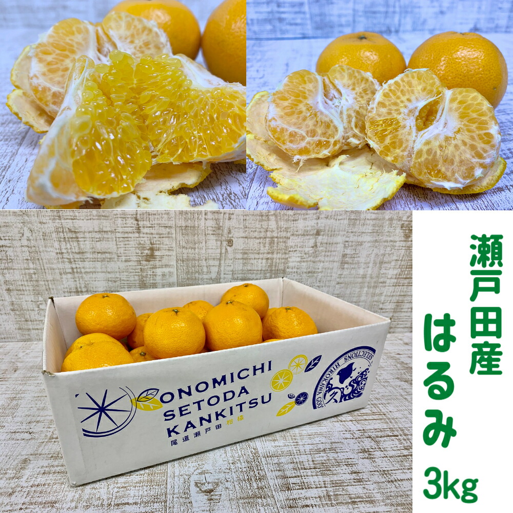 楽天市場】広島せとだ自然熟「葉付きはるみ」広島「はるみ」みかん