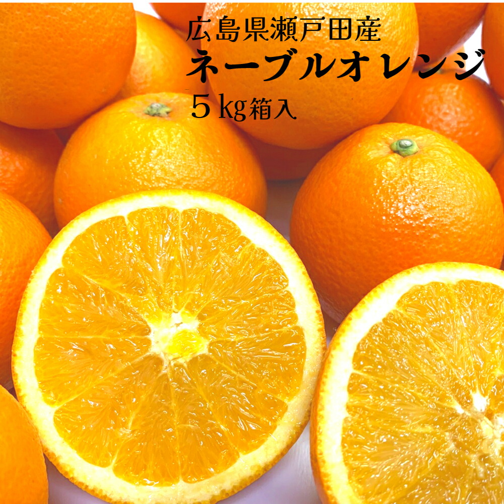 楽天市場】温州みかん【瀬戸田産みかん5kg】送料無料 箱入り サイズ