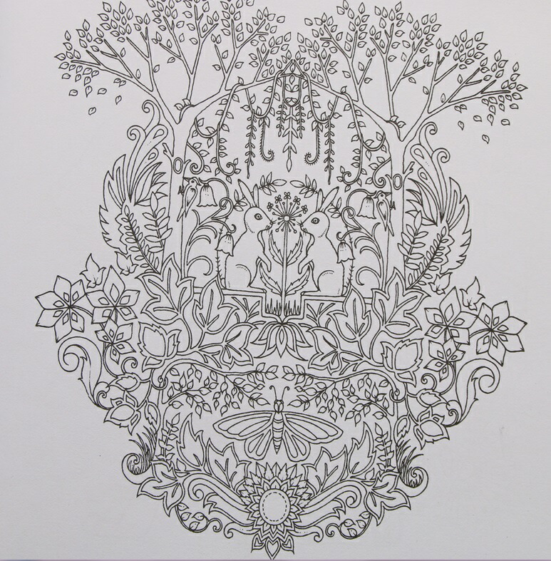 楽天市場 塗り絵 Enchanted Forest 大人のぬりえ 森 定形外郵便 送料無料 代引不可 Hiro Land