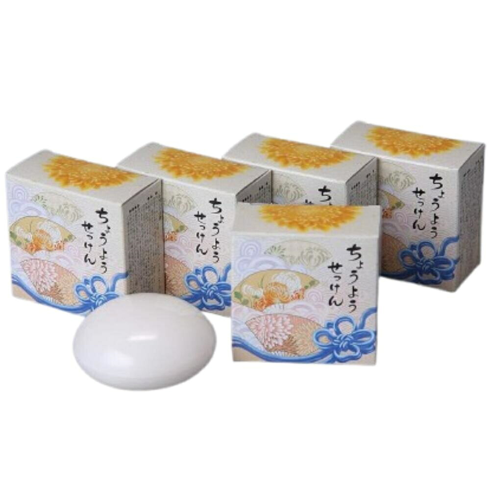 バーバラ 洗顔 ちょうようせっけん 無添加 無香料 100g 《5個入り》 石けん ハンドソープ[送料無料(一部地域を除く)]