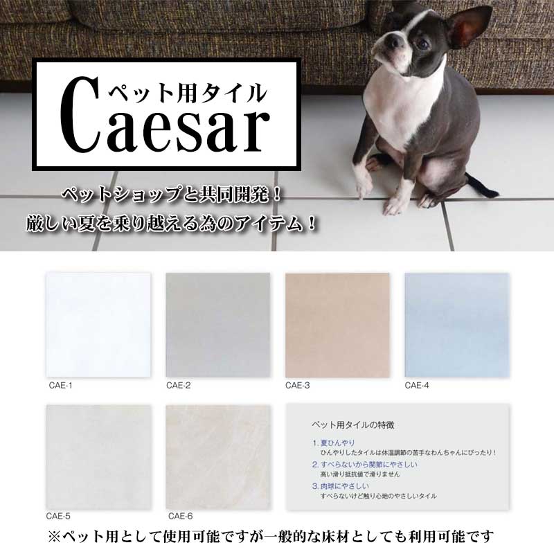 300角 Caesar 愛玩動物用瓦 DIY瓦 ひんやり瓦 猛暑打つ手 愛玩動物装置