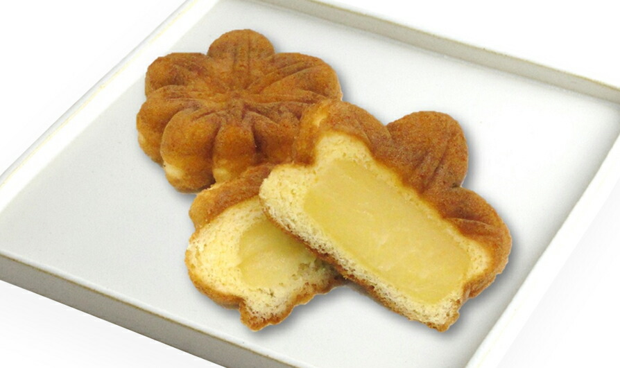 広島銘菓 もみじ饅頭 手提げ袋付き こしあん キャラメル ２箱セット ３種１０個入り