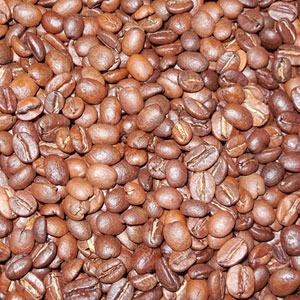 古巴罕见咖啡豆在奢侈中使用 !山以 1 公斤 (约 100 分钟) 的混合法 !