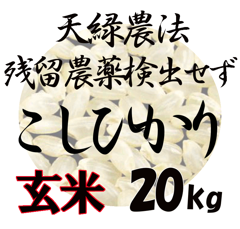 送料込 楽天市場 藍藻育ち 天緑農法 こしひかり kg 残留農薬250項目 放射能測定も すべて検出せず 藍の舞 あいのまい 高lps 無農薬米 あす楽対応 広島 令和2年度産 送料無料 一部地域除く 米 酒 食品 ヒロシマツヤ 人気絶頂 Lexusoman Com