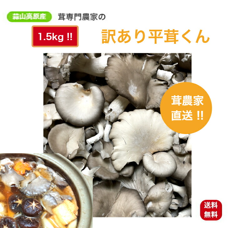 204円 超目玉 無添加しいたけ粉末 21年連続日本一の大分県椎茸農協 しいたけ旨パウダー50g 原木栽培干し椎茸使用 大分県椎茸農業協同組合 204円 超目玉 無添加しいたけ粉末 21年連続日本一の大分県椎茸農協 しいたけ旨パウダー50g 原木栽培干し椎茸使用 大分県椎茸農業協同組合