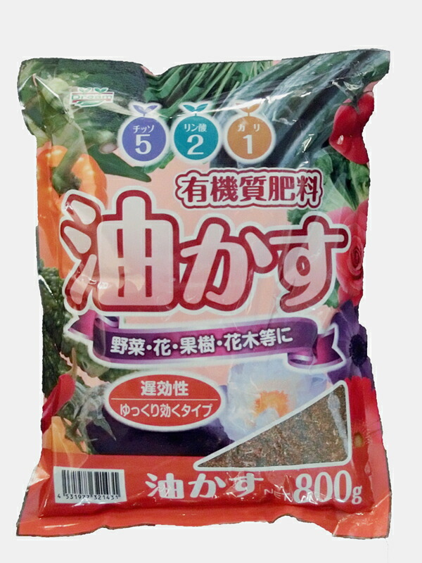 楽天市場】パンジー ビオラ 肥料 アミノ酸入り500g 6-8-5 チャック付【 ガーデニング肥料 園芸肥料 花壇の肥料 プランターの肥料 花の肥料  家庭菜園肥料 】 : 肥料のドリーム 楽天市場店