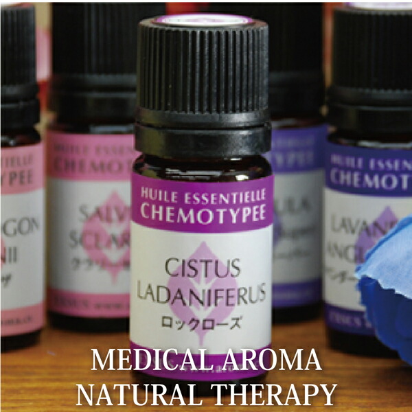 楽天市場】【アロマの香ミニボトル特典付】ヘリクリサム