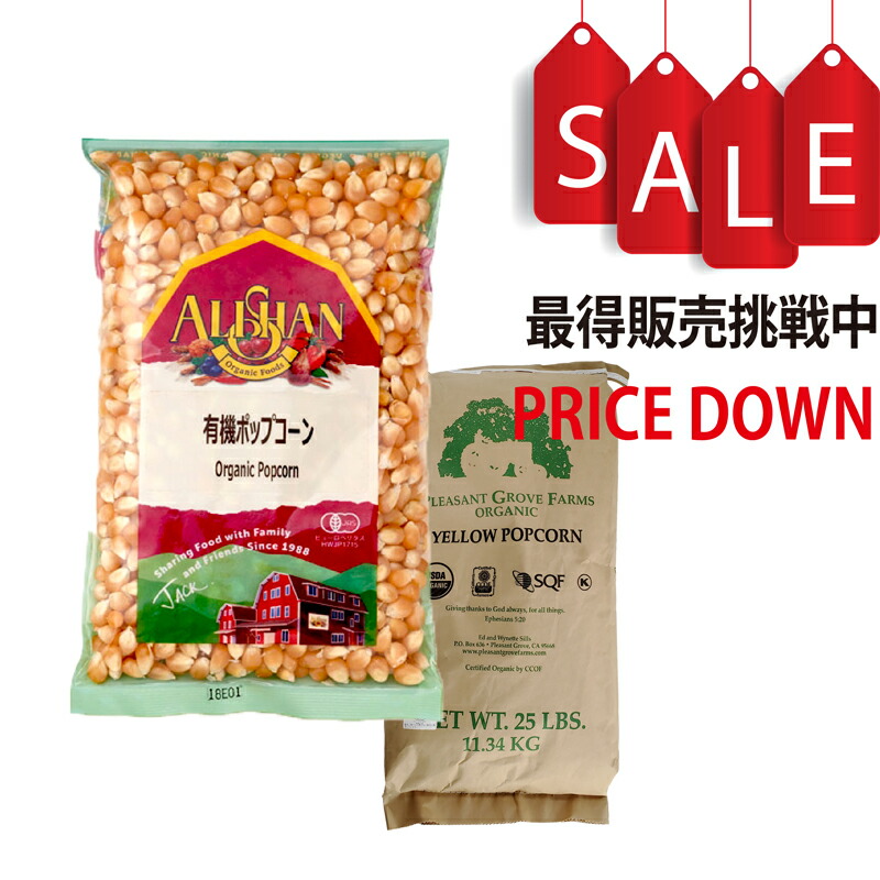 楽天市場】有機ココナッツチップス 100g有機JAS認証 オーガニック