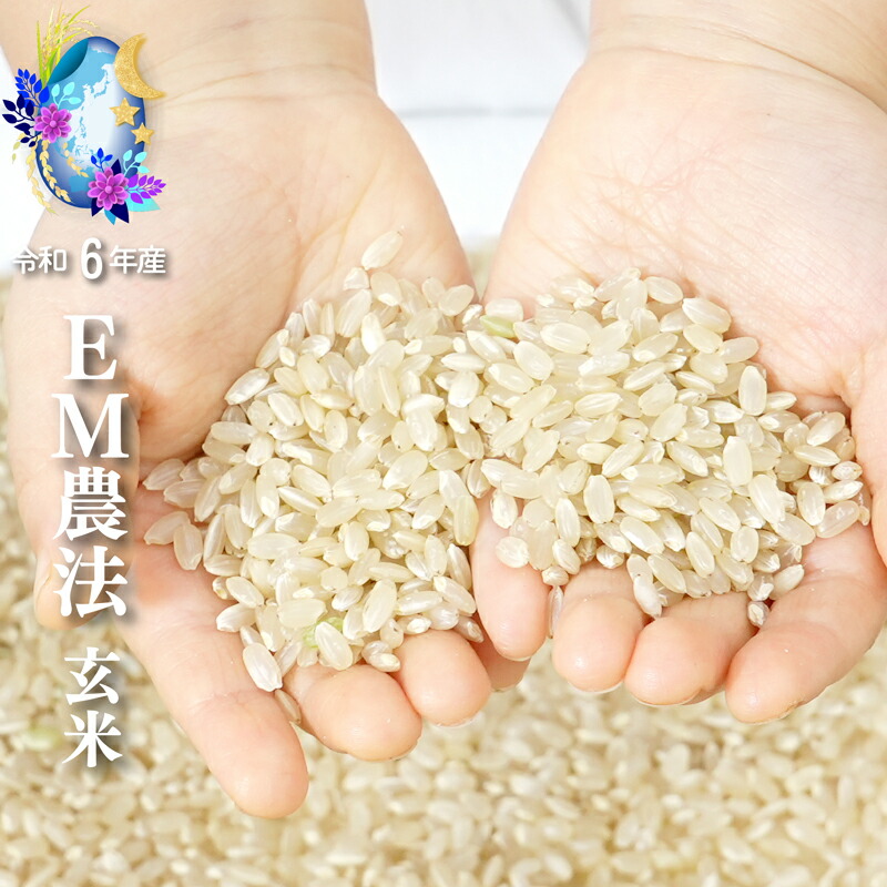 幻の米旭一号白米10Kg農薬化学肥料不使用 無肥料 農薬無散布 天然塩栽培” 旭一号米 白米5k - 株式会社夢アグリ