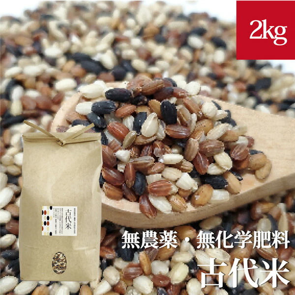 Begin掲載 無農薬無肥料栽培玄米 2kg ❁︎ 古代米入り自然栽培米