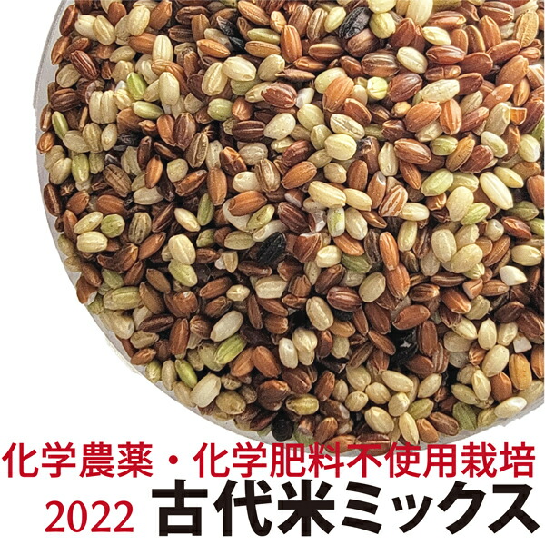 楽天市場】一味唐辛子 15g入 無農薬・無肥料 : ＨＩＲＹＵ