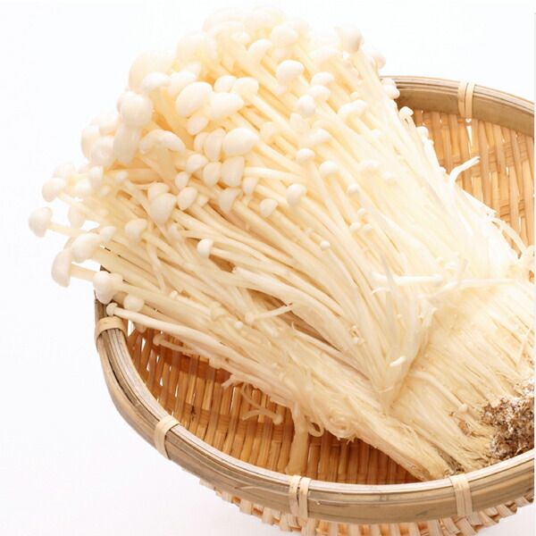 贈り物 ブラウンマッシュルーム 5袋 500g <br>国産 無農薬 無化学肥料