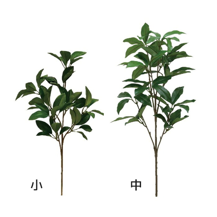 夏法衣特集
