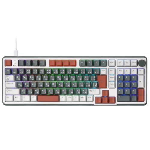 RK ROYAL KLUDGE C98 JP HE メカニカルゲーミングキーボード、広座敷成り行き磁気取り替えっこ、熱っぽい取り換える相応う 95% 有線 RGB 鍵盤、ラピッド銃の引き金合わせる能力のあるアクチュエーション、8K ポーリング割り合い、Mac \u0026 Win 用 Pro Web １番ウッド,