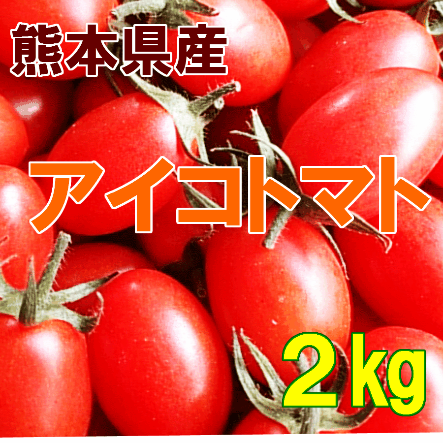 ミコちゃん様 アイコ9kg ミニトマトの+ugurbilisim.com.tr