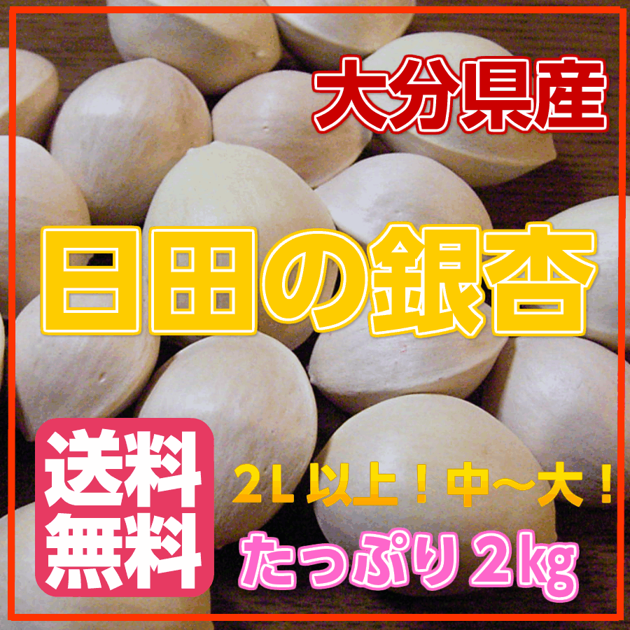 正規通販】 先行予約《日本国内産》 江戸時代から続く銀杏産地 祖父江 藤九郎 希少 特大4L大粒×1箱 もっちり 高級銀杏 焼き銀杏 揚げ銀杏