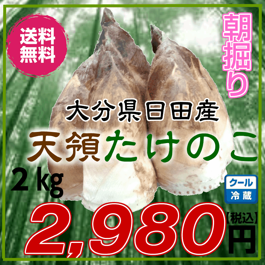 楽天市場 たけのこ 大分県日田産 2kg タケノコ 筍 たけのこ 竹の子 生たけのこ 生竹の子 生タケノコ 生筍 朝掘り筍 朝掘りたけのこ 朝掘り タケノコ 朝掘り筍 日田 もりやま青果 楽天市場 たけのこ 大分県日田産 2kg タケノコ 筍 たけのこ 竹の子 生たけのこ 生竹の子 生タケノコ 生筍 朝掘り筍 朝掘りたけのこ 朝掘り タケノコ 朝掘り筍 日田 もりやま青果