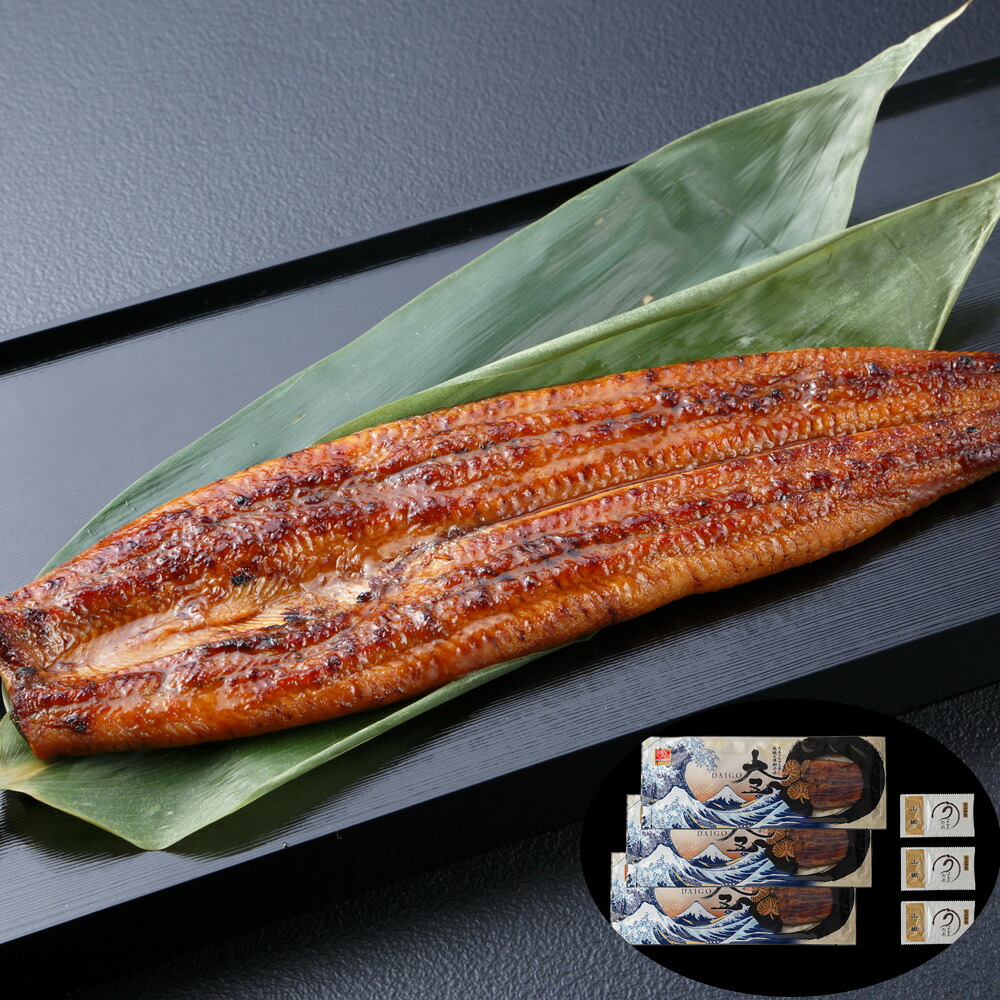 うなぎ問屋の大五鰻蒲焼3尾セット ギフト プレゼント ｜ ギフト 送料無料 丁寧なくらし 丁寧な暮らし Luruspot