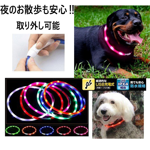 楽天市場 光る 首輪 犬 猫 防水 Led シリコン 取り外し可能 夜の散歩 大型犬 中型犬 小型犬 プレゼントラッピング無料 Hitaste Japan