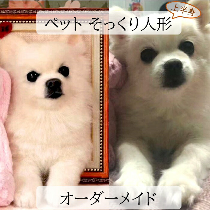 楽天市場】犬 猫 オーダーメイド 人形 お顔 植毛可能 ペット