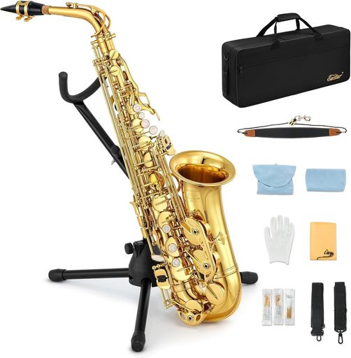 Eastar サックス アルトサックス Eb Saxophone ゴールドラッカー サクソフォン ケース付き お手入れセット サックス 初心者 AS-II|HiT Creations