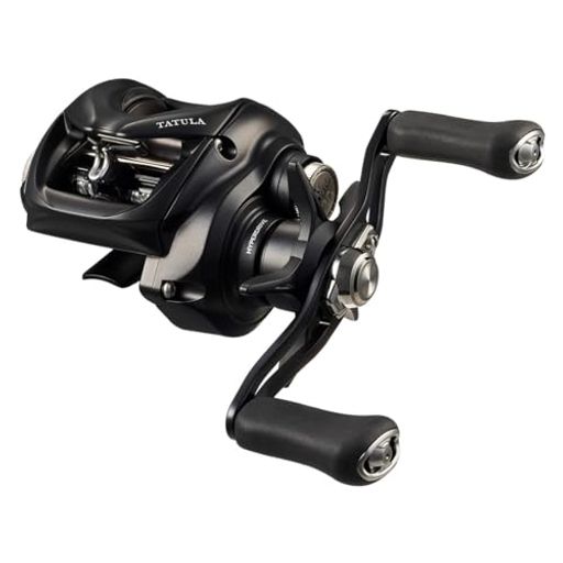 ダイワ(DAIWA)ベイトリール24TATULATW100HL
