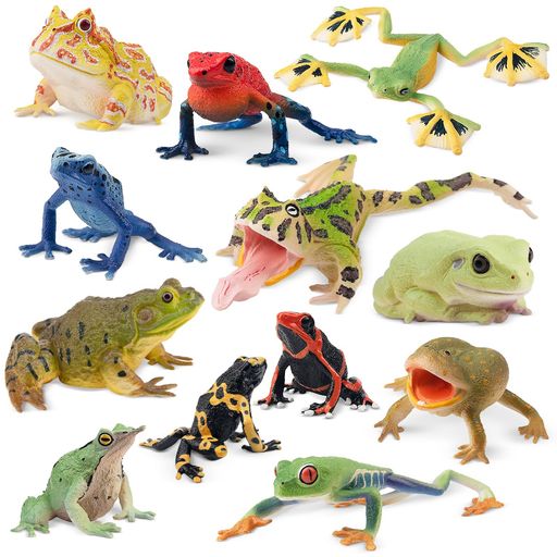 APO Frogs Twelvedot 3個セット カエルフィギュア APO Frogs Twelvedot 3個セット カエルフィギュアの通販 by ck's