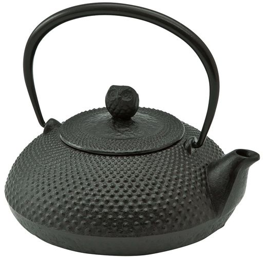 池永鉄工(IkenagaIronWorks)鉄瓶0.6L南部鉄器やかん鉄分補給宝寿日本製