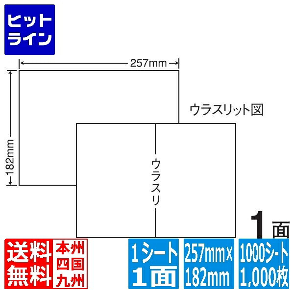 【お買い物マラソン】7/26 AM1:59まで ナナラベル ナナコピー 257mm&times;182mm B5版 257mm&times;182mm 1000シート(100シート&times;10) C1B5F｜ヒットライン