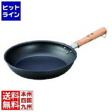 テイケイジイ TKG 剛鉄 フライパン 20cm AFL1501