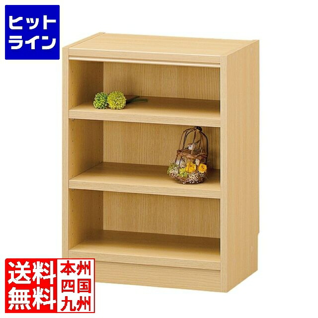 要エントリ【04/20 24時間限定当選確率2分の1！1等最大100%ポイントバック】　 白井産業 フリーラック オープンラック シェルフ 本棚 ミニ 小さなサイズ 幅44cm 高さ60cm TNL-6044 タナリオ