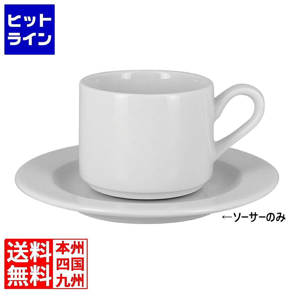 メモリアクセス 平円盤 17糎 12入RA01315