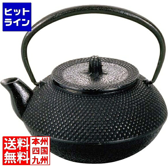 要エントリ【04/15 24時間限定当選確率2分の1！1等最大100%ポイントバック】　 アサヒ 鉄 急須 丸アラレ 0.8L