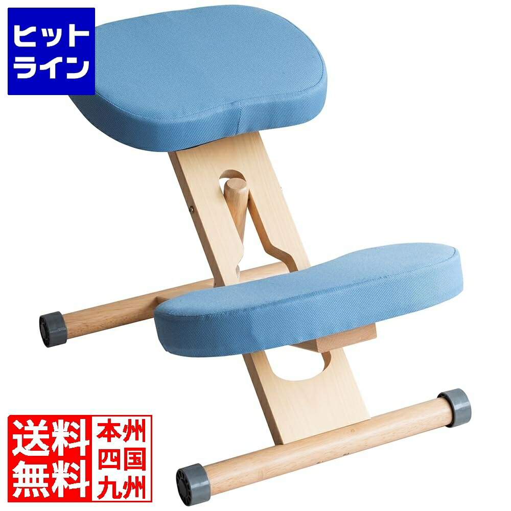 楽天市場】宮武製作所 ミヤタケ プロポーションチェア CH-N88W