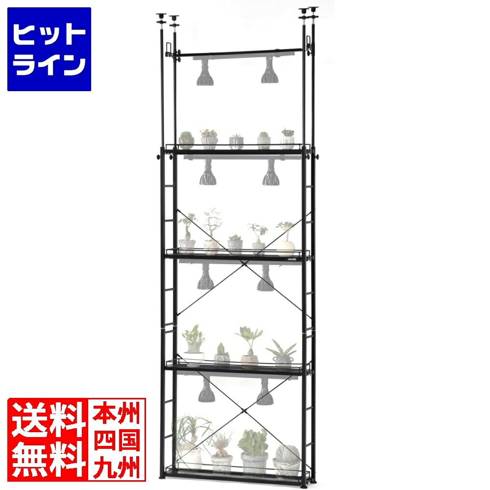 要エントリ【06/15  24第四次元押さえる当選確からしさ2分の1！1等最大限度100%尖んがりうしろ側】  ビザールプランツラック か細い 草木 棚 観葉草木 草木棚 草木仕合わせ ともし火 金属元素仕合わせ スチール写真仕合わせ ビビラボ