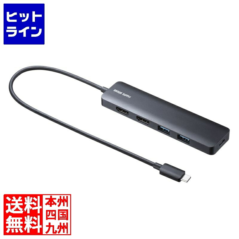 サンワサプライ USB Type-C 縛ステイション USB-5TCHHPS22BK