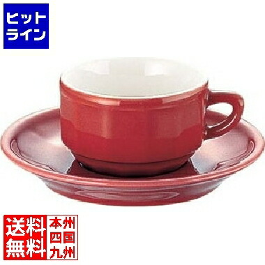 植物相 モカ優勝杯\u0026平円盤(6客入) PTFL M FL 赤いこと RAP3601