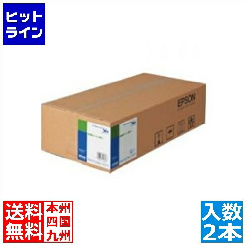 【お買い物マラソン】4/10 AM1:59まで エプソン MAXART用 普通紙ロール〈厚手〉/約841mm幅×50m(2本入り)/A0サイズ EPPP90A0