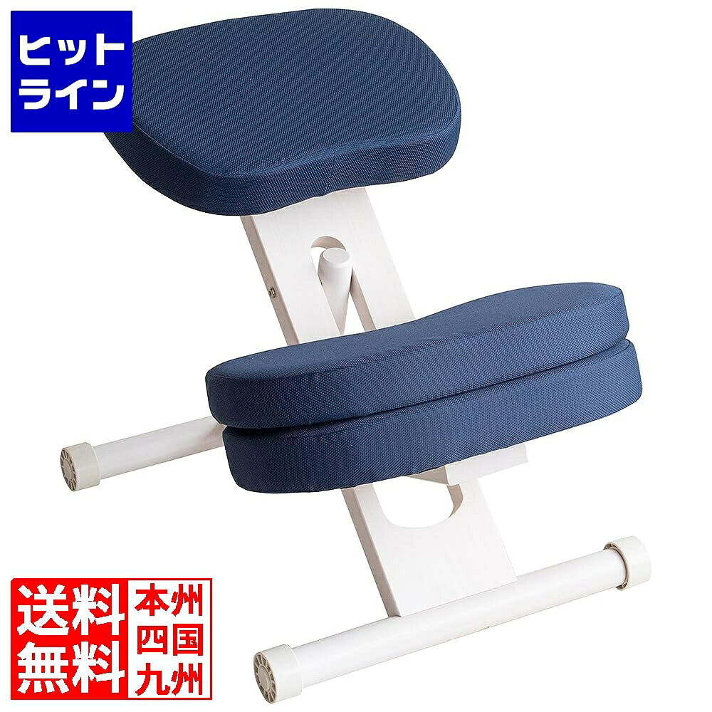 【お買い物マラソン】4/10 AM1:59まで 宮武製作所 ミヤタケ プロポーションチェアキッズ CH-N889CK ホワイトネイビー CH-N889CK