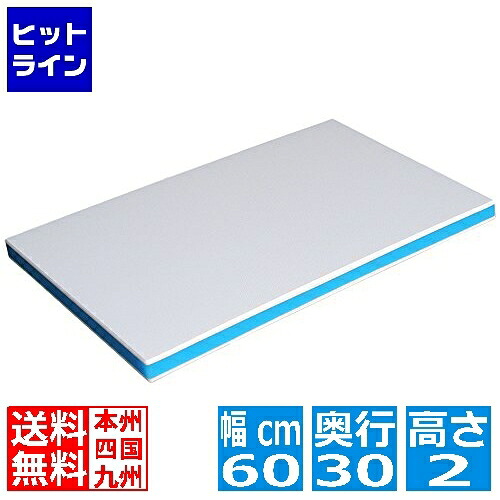 【お買い物マラソン】7/26 AM1:59まで 三洋化成 ポリエチレン抗菌カラーまな板 CKB-20M(600&times;300&times;20)ブルー｜ヒットライン 8,967円