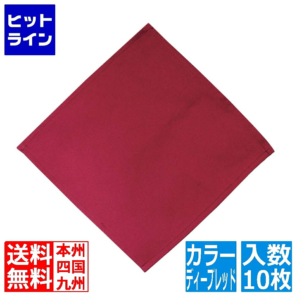 江部松 EBM カトラリーケース用ナプキン(10枚入)ディープレッド 230×230 0362100 6-1450-2401