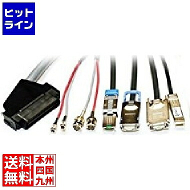 IBM 固定ディスク SAS to Mini-SAS 有線テレビ 00NV419